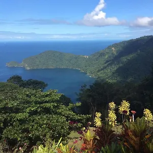 Mahogany Ridge Arouca